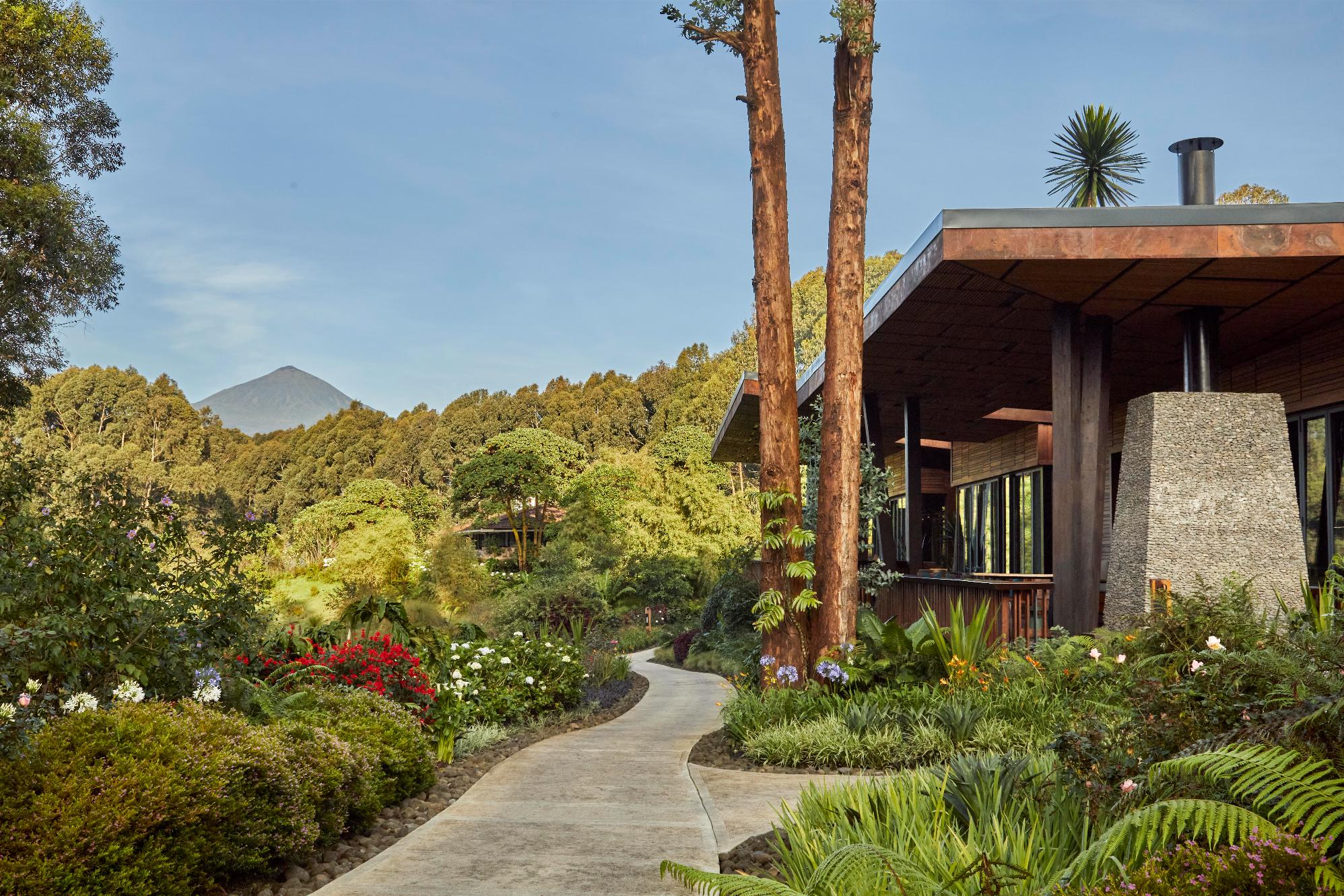 one_and_only_gorilla's_nest