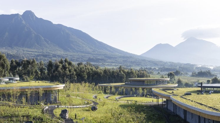 Rwanda Primates Safari And Culture Experience tour