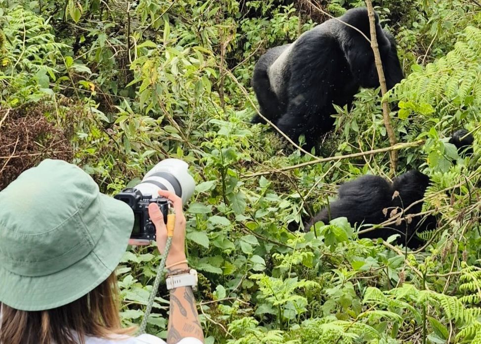Rwanda safari adventure