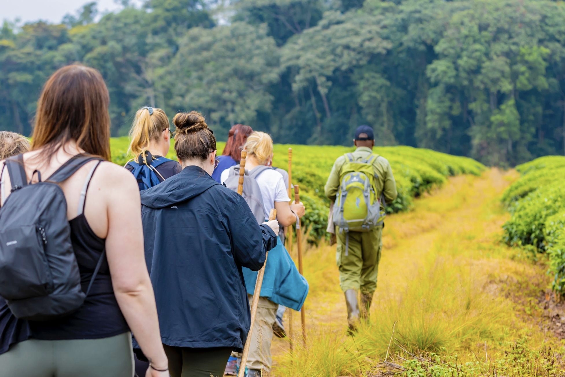 Multi Rwanda safari adventure